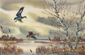 Autumn Afternoon (Mallards) by Clarence Boyce Monegar