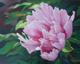 David's Tree Peony by Liz Phillips