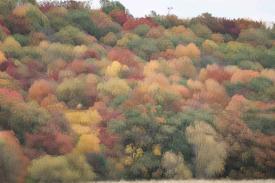 Autumn Colors by Mark Weller