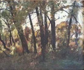 Untitled (Wooded Landscape) by Franz Biberstein