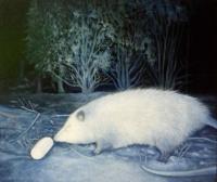 The Possum by Valerie Mangion
