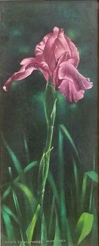 Purple Iris by Doris Wokurka