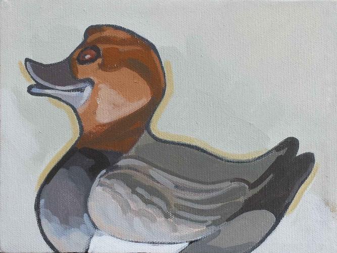 Canvasback by Paul Burmeister