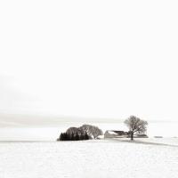 Winterscape by Michael Knapstein