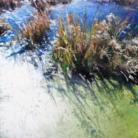 Marsh Magic by Colette Odya Smith