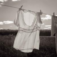 Clothesline by Michael Knapstein