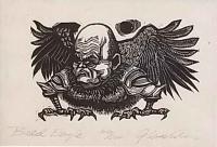 Bald Eagle by Raymond Gloeckler