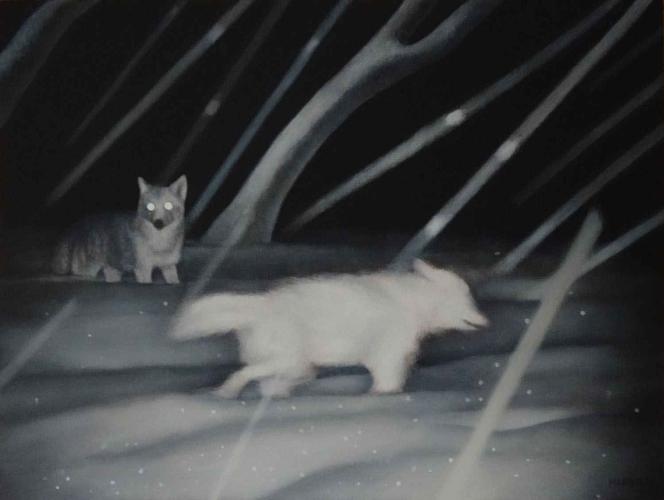Snow Pack by Valerie Mangion