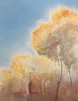 Yellow Light Trees by Christine Buth-Furness