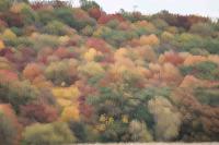 Autumn Colors by Mark Weller