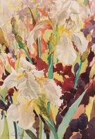 Untitled (White Irises) by Mary Theisen - Helm