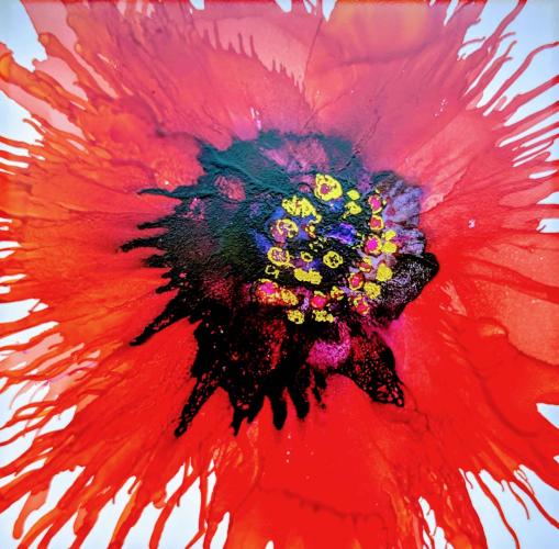 Poppy Explosion by Shirley Johnson