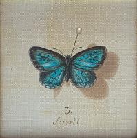 Lychene Alexis (Blue Butterfly) by Patrick Farrell