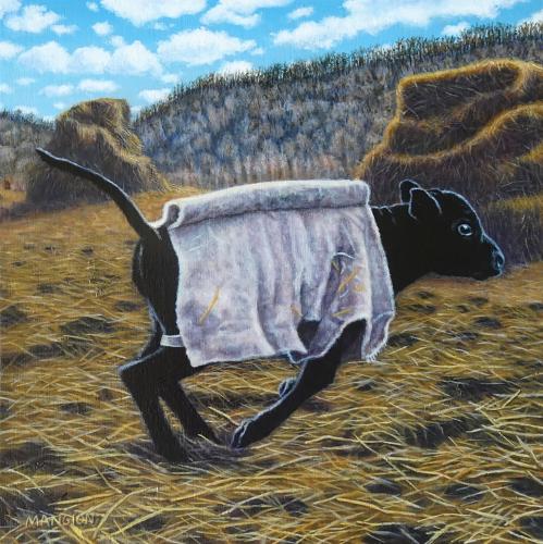 Early Calf in a Homemade Coat by Valerie Mangion